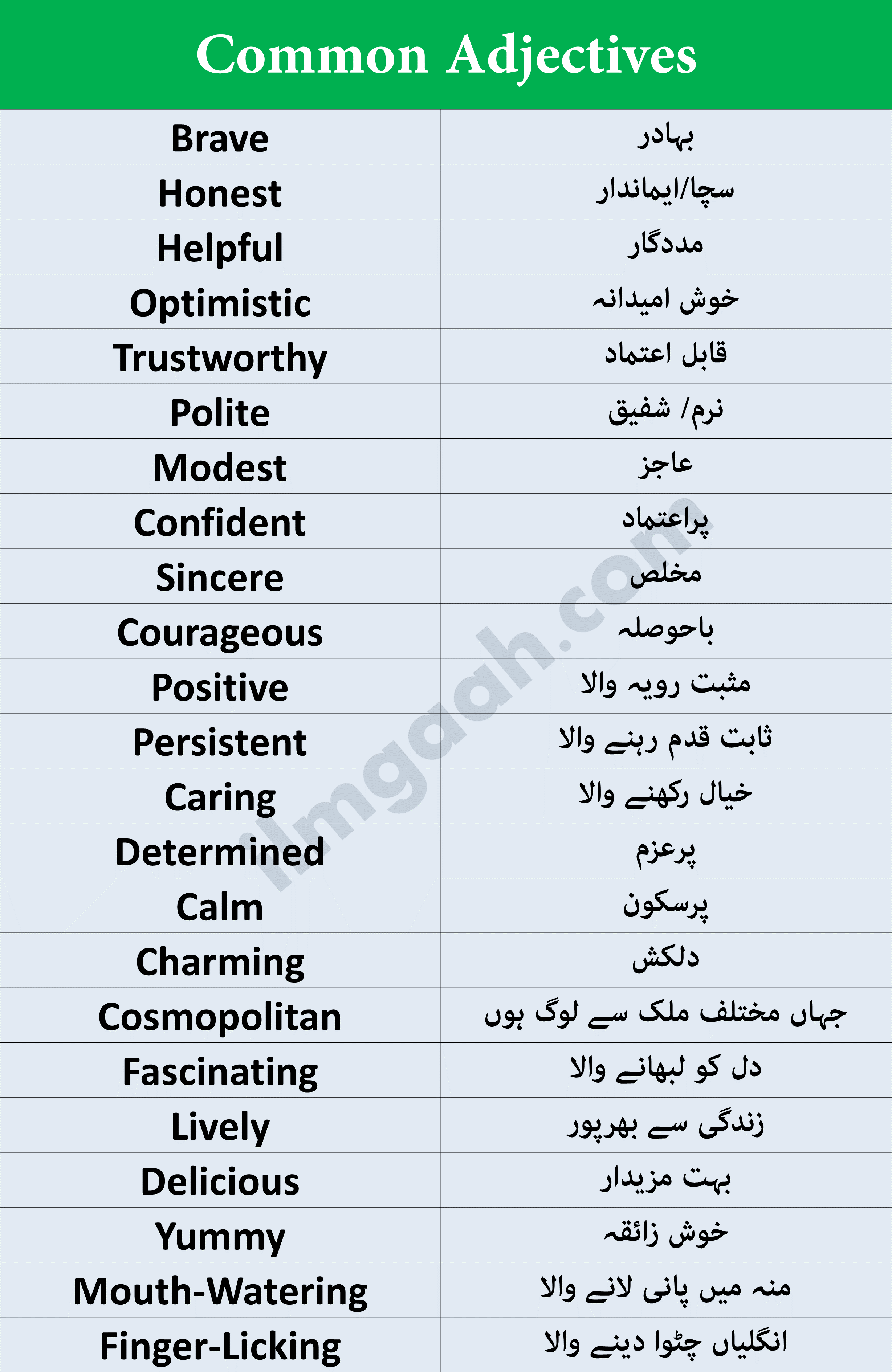 Commonly Used Adjectives In English and Urdu PDF