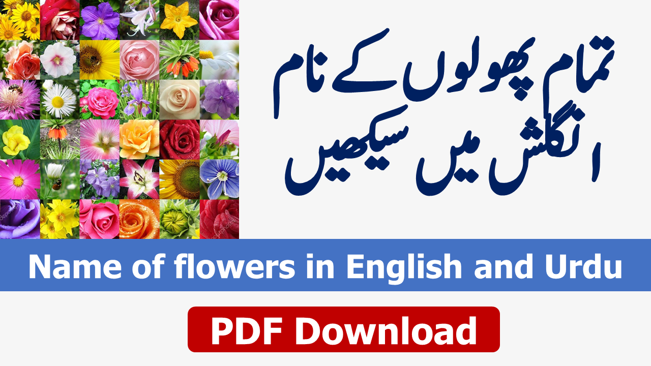 name-of-flowers-in-english-and-urdu-ilmgaah